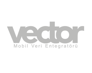 vector